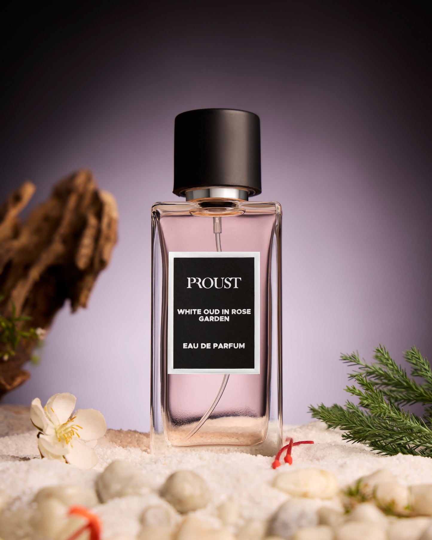 White Oud in Rose Garden
